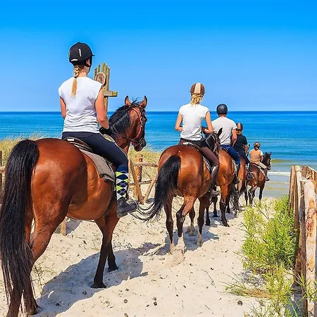 Bed & Breakfast New Naxos Village